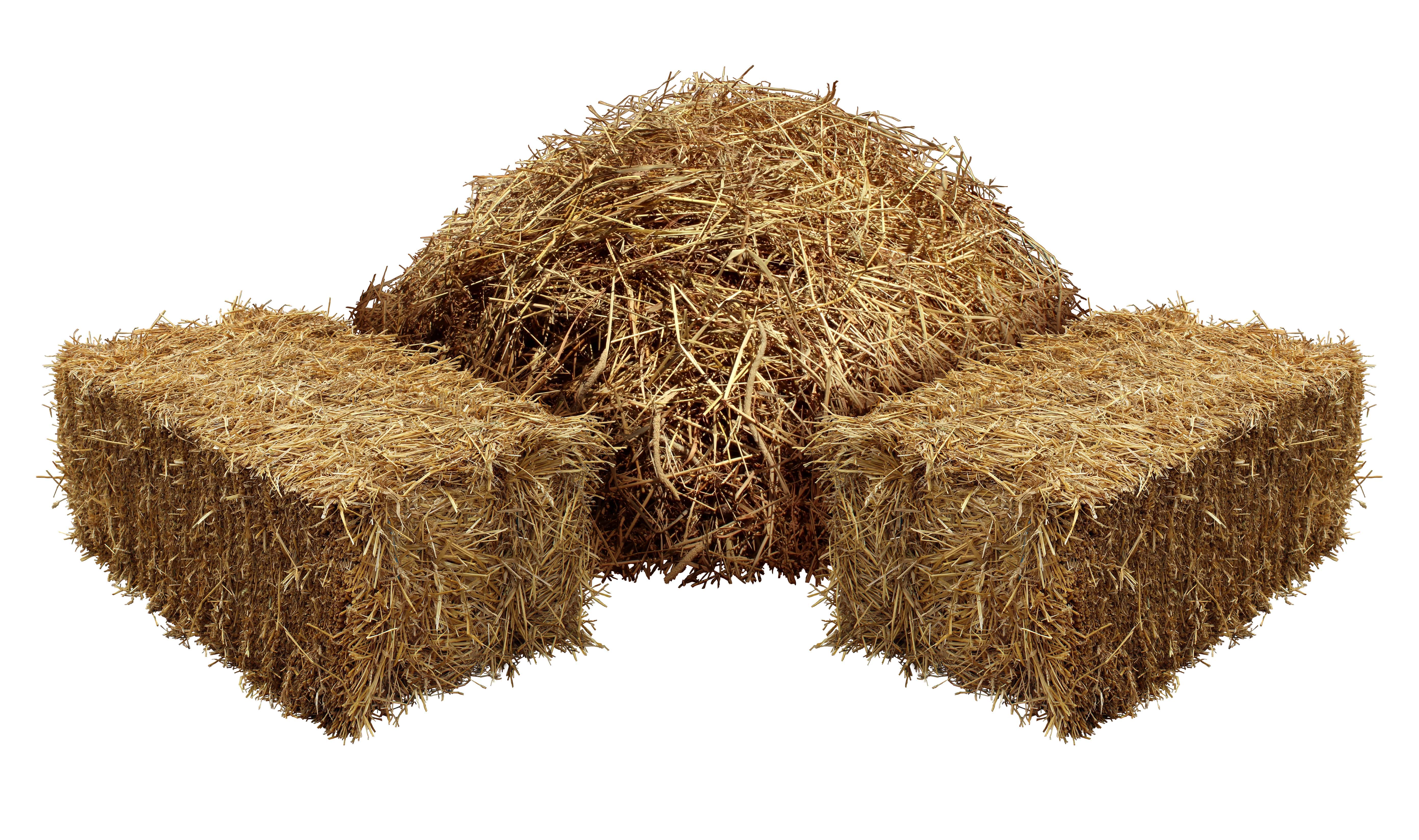 Hay absolute (CAS N° 8031-00-3) Hay absolute (CAS N° 8031-00-3)